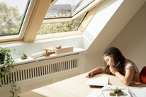 Jumta logi ar tālvadību | Standard